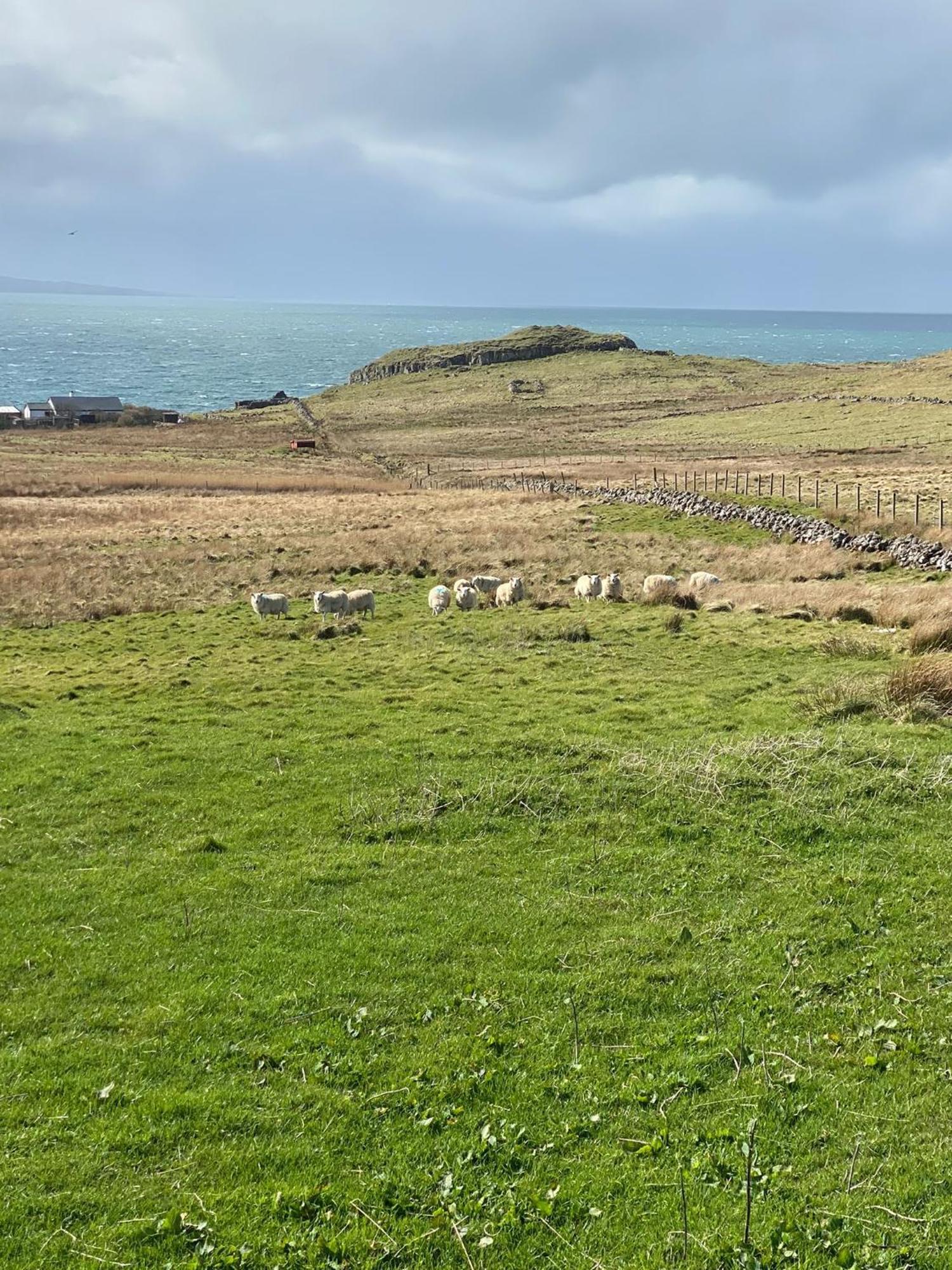 Cnoc Ruaraidh Cottage Kilmuir  Екстериор снимка